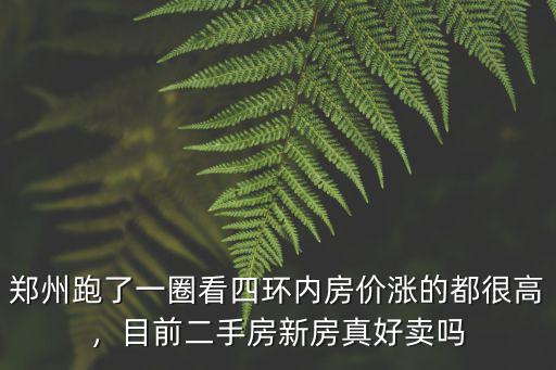 鄭州跑了一圈看四環內房價漲的都很高，目前二手房新房真好賣嗎