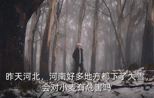 河南地區(qū)哪里下雪了,北方哪個(gè)地區(qū)下雪了