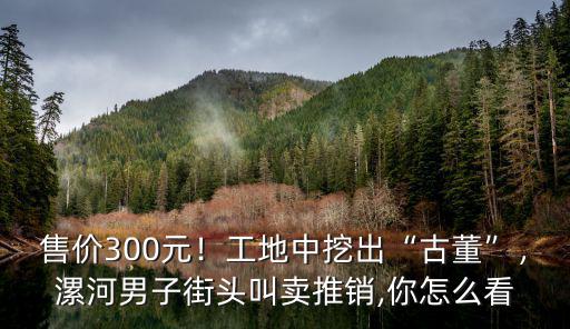 售價300元！工地中挖出“古董”，漯河男子街頭叫賣推銷,你怎么看
