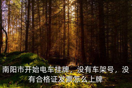 南陽電動三輪車哪里上牌,南陽哪里可以給電動車上牌
