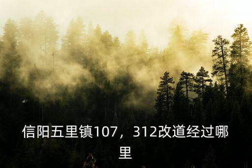 信陽107改道全程多少公里,信陽五里鎮107