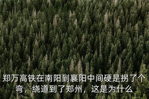 鄭萬高鐵在南陽到襄陽中間硬是拐了個彎，繞道到了鄭州，這是為什么