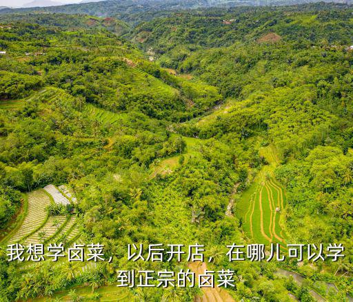 學鹵菜在鄭州哪里學,鹵菜培訓哪里最好