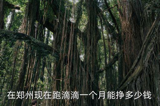 在鄭州現(xiàn)在跑滴滴一個月能掙多少錢