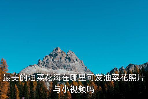 最美的油菜花海在哪里可發油菜花照片與小視頻嗎