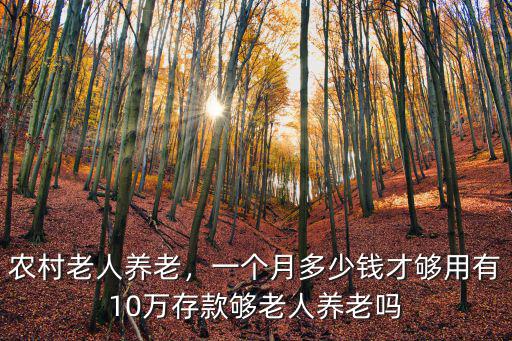 農(nóng)村老人養(yǎng)老，一個(gè)月多少錢才夠用有10萬存款夠老人養(yǎng)老嗎