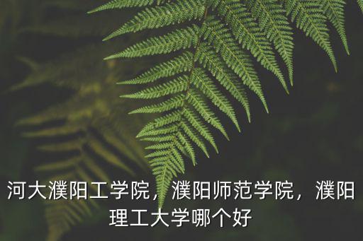 河大濮陽工學(xué)院，濮陽師范學(xué)院，濮陽理工大學(xué)哪個(gè)好