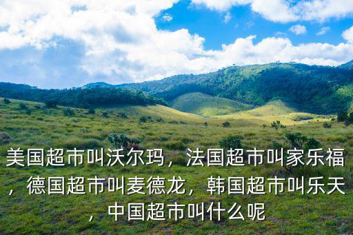 美國超市叫沃爾瑪，法國超市叫家樂福，德國超市叫麥德龍，韓國超市叫樂天，中國超市叫什么呢
