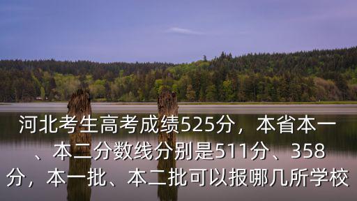 河北河南1本2本分數線是多少,本二分數線分別是511分