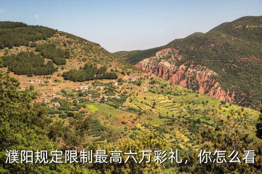 濮陽南環限高怎么繞,河南濮陽出臺限高令