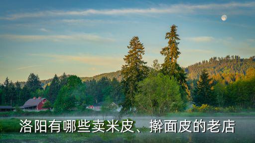 洛陽市哪里有賣涼皮的,搟面皮的老店