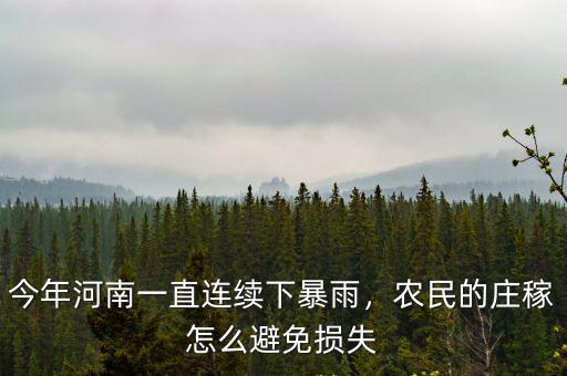 河南暴雨家庭損失怎么辦,河南暴雨損失最大的是哪類人