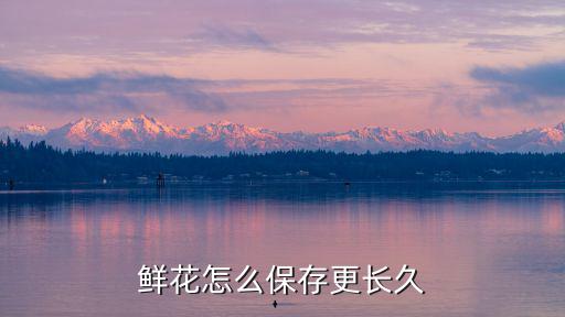鮮花怎么保存更長久