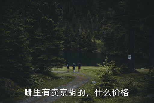 新鄉(xiāng)哪里有教京胡的,哪里有賣京胡的