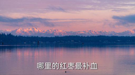 哪里的紅棗最補(bǔ)血