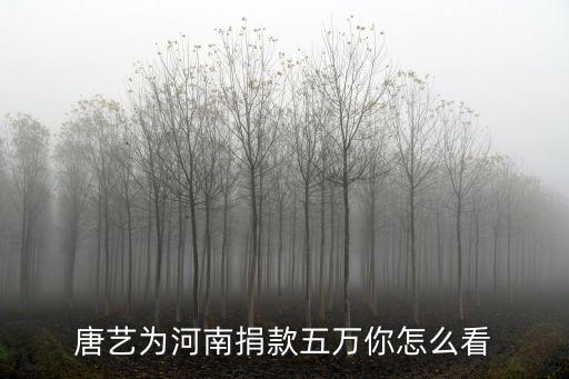 唐藝為河南捐款五萬你怎么看