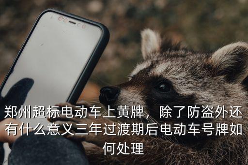 鄭州超標電動車上黃牌，除了防盜外還有什么意義三年過渡期后電動車號牌如何處理