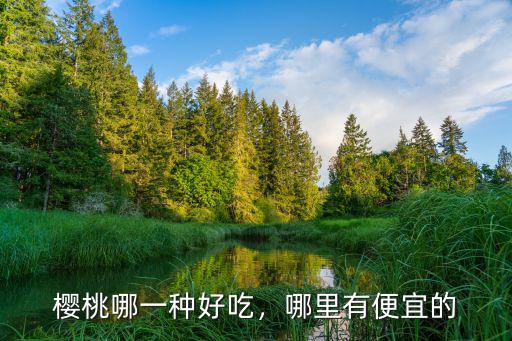 櫻桃哪一種好吃，哪里有便宜的
