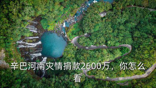 辛巴河南災情捐款2600萬，你怎么看