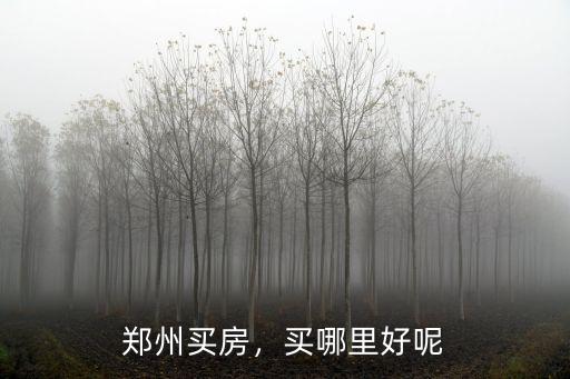 鄭州買房，買哪里好呢