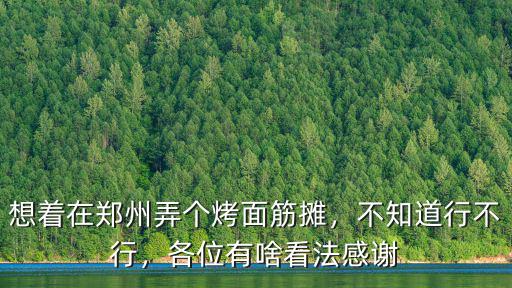 想著在鄭州弄個烤面筋攤，不知道行不行，各位有啥看法感謝