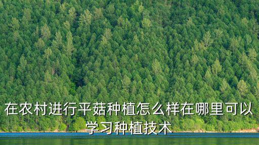 河南鶴壁種植平菇都在哪里,在農村進行平菇種植怎么樣