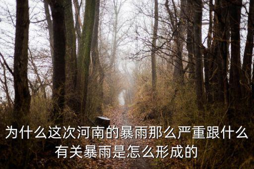 河南省暴雨哪里下的最大,河南下這么大的暴雨