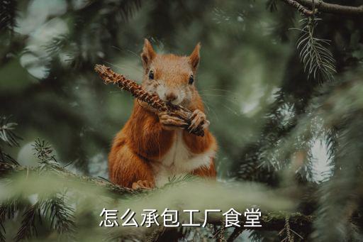 怎么承包工廠食堂