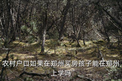 外來人口在鄭州怎么上小學(xué),來鄭州上普通小學(xué)值不