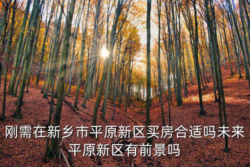 剛需在新鄉(xiāng)市平原新區(qū)買房合適嗎未來平原新區(qū)有前景嗎