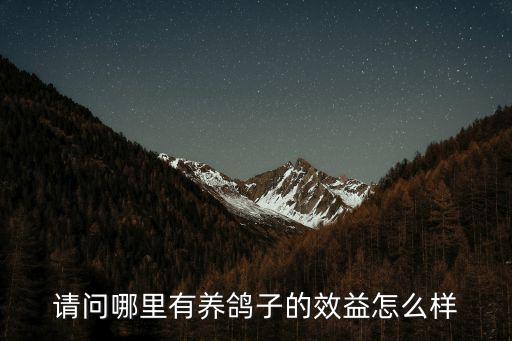 請問哪里有養鴿子的效益怎么樣