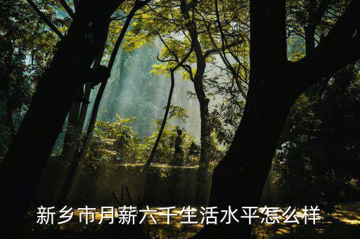 新鄉四高怎么樣,新鄉醫學院實力怎么樣