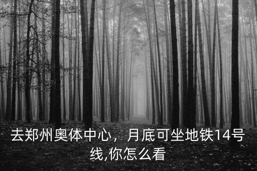 去鄭州奧體中心，月底可坐地鐵14號(hào)線,你怎么看