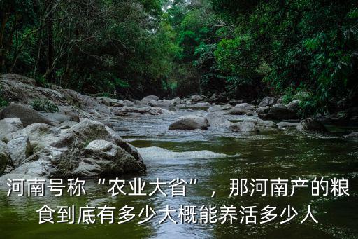 河南號稱“農業大省”，那河南產的糧食到底有多少大概能養活多少人