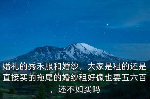 婚禮的秀禾服和婚紗，大家是租的還是直接買的拖尾的婚紗租好像也要五六百，還不如買嗎