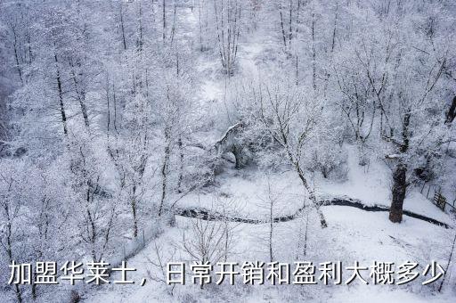 加盟華萊士，日常開銷和盈利大概多少