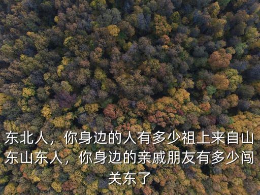有多少河南在東北的老鄉,東北人中有多少山東人的后代