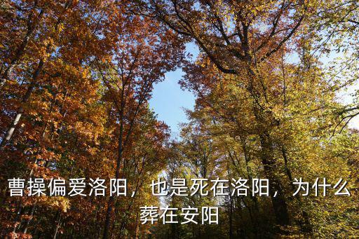 高陽(yáng)公主葬在洛陽(yáng)哪里,為什么葬在安陽(yáng)