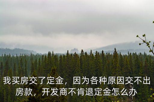 我買房交了定金，因為各種原因交不出房款，開發(fā)商不肯退定金怎么辦