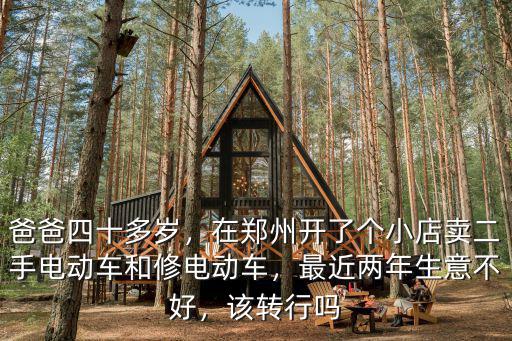 鄭州二手迷你電動車多少錢,一般二手電動車多少錢