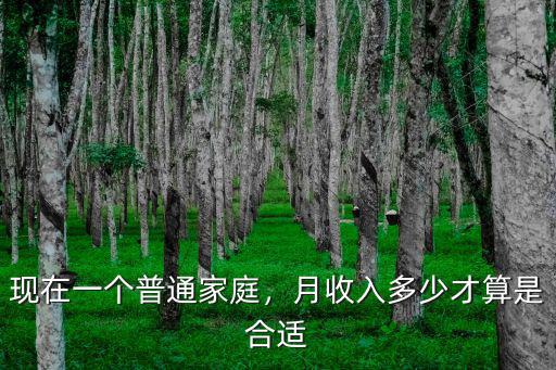 商丘地區一般家庭月收入多少,月收入多少才算是合適