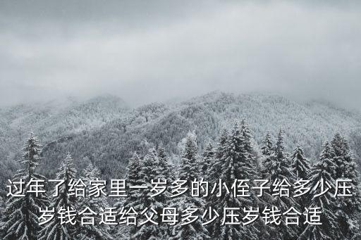 過年了給家里一歲多的小侄子給多少壓歲錢合適給父母多少壓歲錢合適