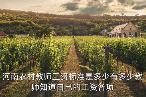 河南農村教師工資標準是多少有多少教師知道自己的工資各項