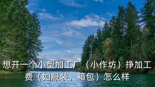 想開一個小型加工廠（小作坊）掙加工費（如服裝，箱包）怎么樣