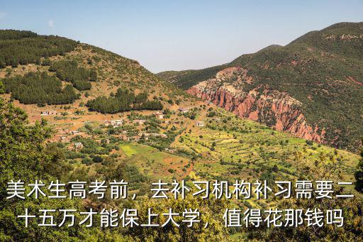 美術生高考前，去補習機構補習需要二十五萬才能保上大學，值得花那錢嗎