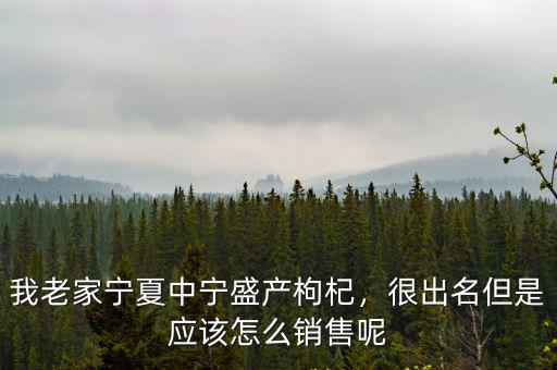 我老家寧夏中寧盛產枸杞，很出名但是應該怎么銷售呢