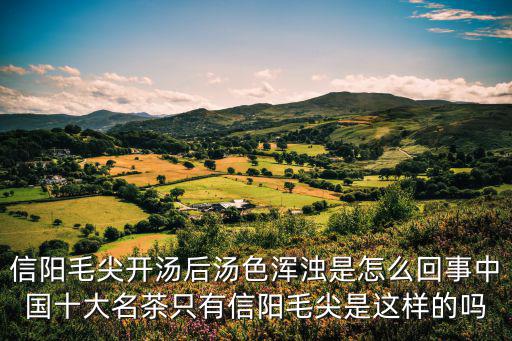 信陽毛尖開湯后湯色渾濁是怎么回事中國十大名茶只有信陽毛尖是這樣的嗎