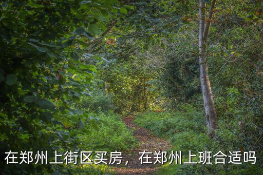 在鄭州上街區買房，在鄭州上班合適嗎