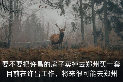 要不要把許昌的房子賣掉去鄭州買一套目前在許昌工作，將來很可能去鄭州