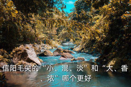 信陽毛尖的“小、混、淡”和“大、香、濃”哪個更好